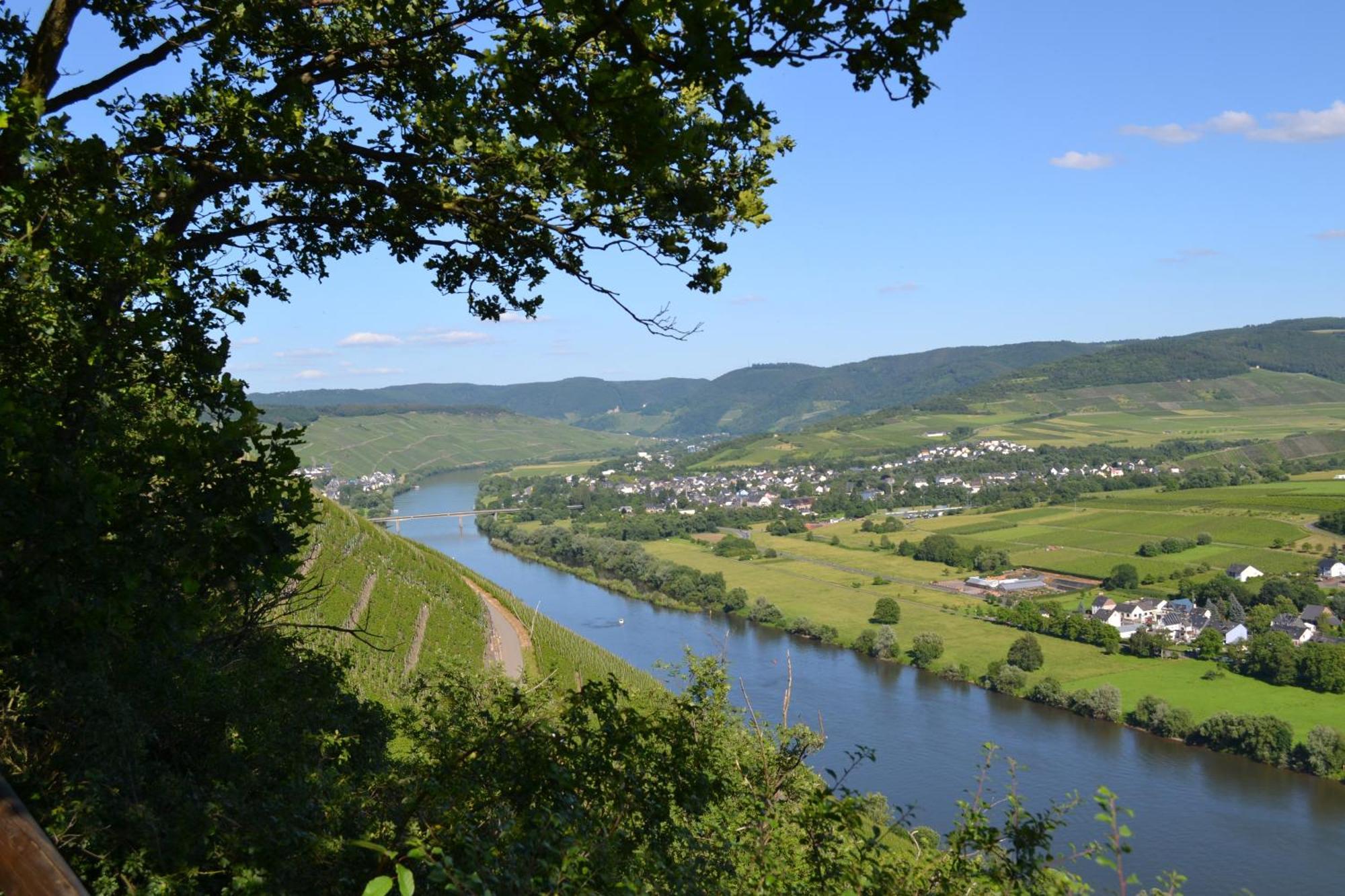 Weingut Mathy-Schanz Osann-Monzel Exterior photo