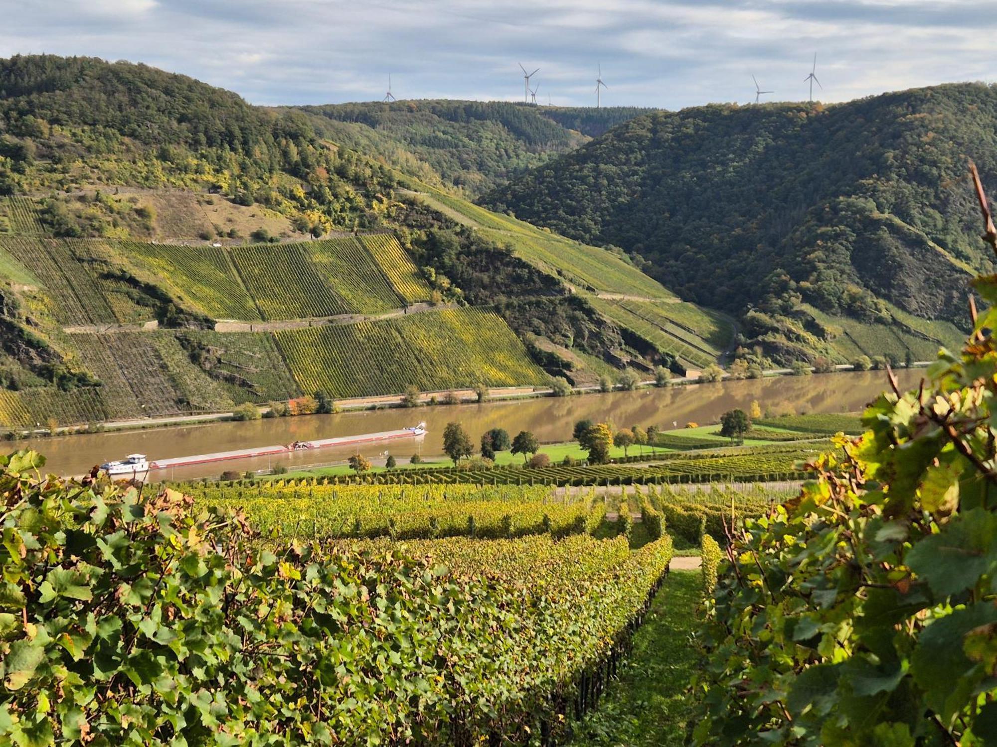 Weingut Mathy-Schanz Osann-Monzel Exterior photo