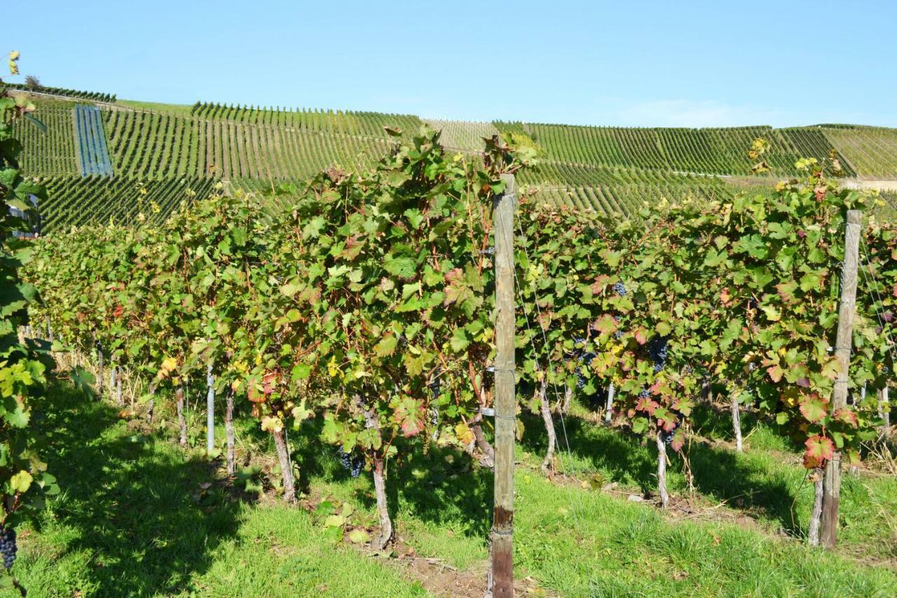 Weingut Mathy-Schanz Osann-Monzel Exterior photo
